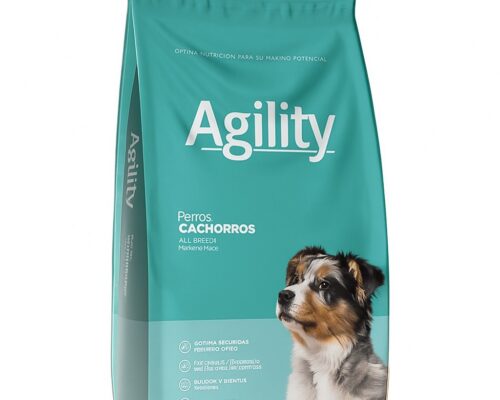 Agility Cachorro Raza Mediana y Grande