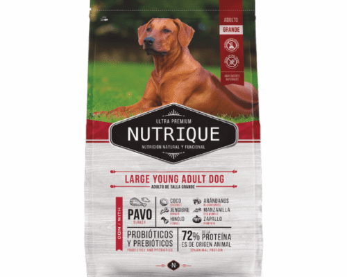 Nutrique Large Young Adulto