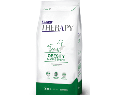 Therapy Canine Obesity Management