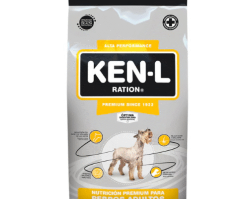 Ken L Perro Adulto