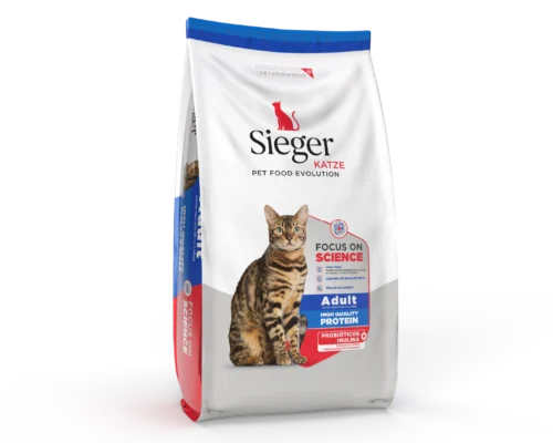 Sieger Katze Adulto