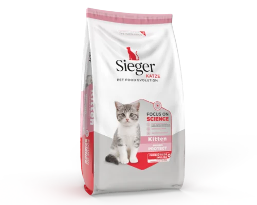 Sieger Katze Kitten