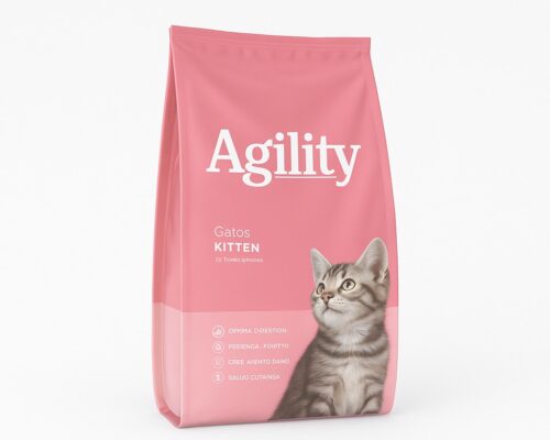 Agility Gato Kitten
