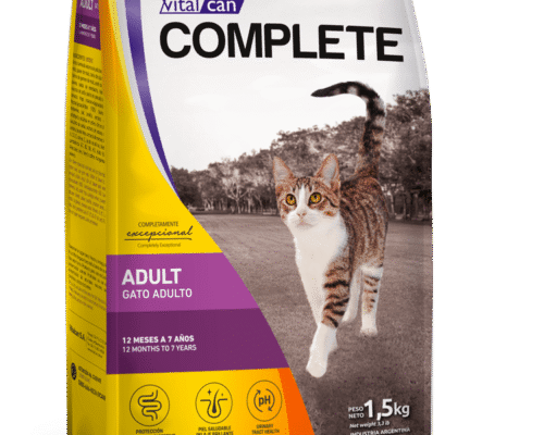 Complete Gato Adulto
