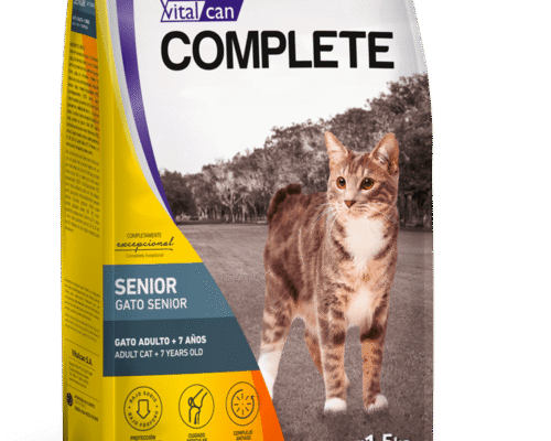 Complete Gato Senior