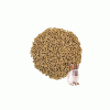 Alimento para Conejos