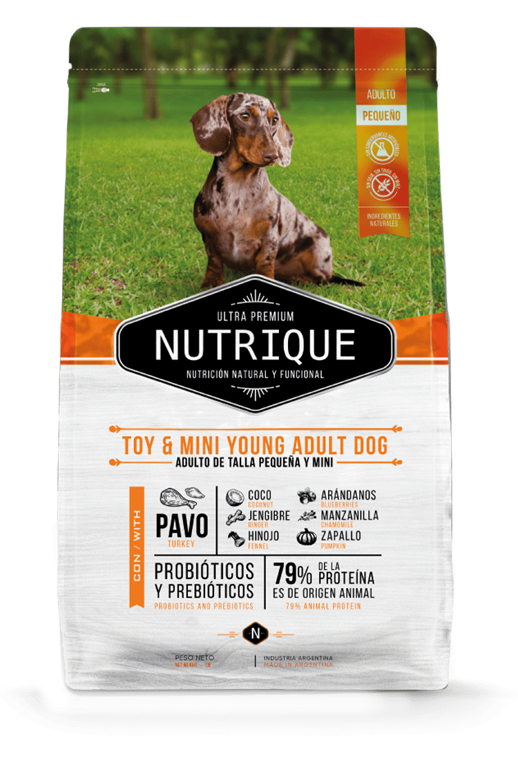 Nutrique Toy Mini Young Adulto