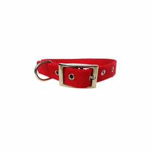 Collar Glee Pet