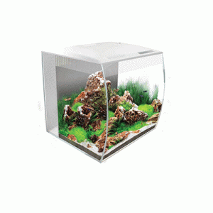 Acuario Marina Fluvial Flex