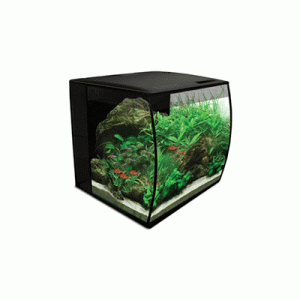 Acuario Marina Fluvial Flex