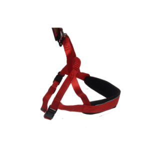 Pretal Nylon Estampado Sport