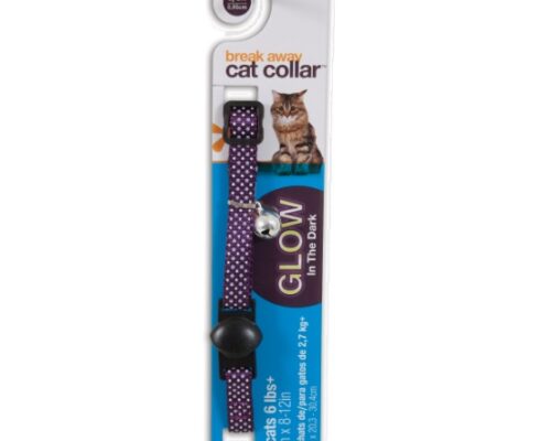 Collar Petmate - Glows in the Dark