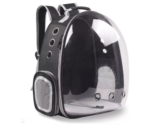 Mochila Transparente