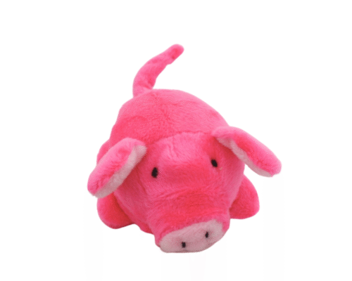 Juguete a Cuerda – Tortuga o Cerdo