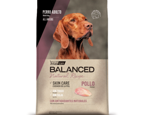 Balanced Perro Natural Recipe Pollo