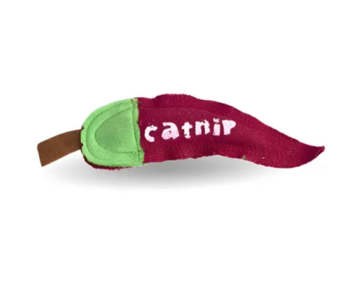 Chili Picante con Hierba Gatera