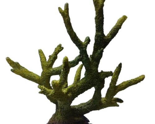 Coral Rugoso de Resina