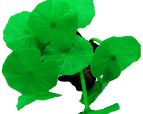 Hoja de Loto Silicona Fluor Verde