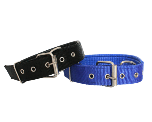 Collar Acolchado con Hebilla