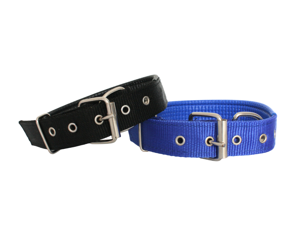 Collar Acolchado con Hebilla