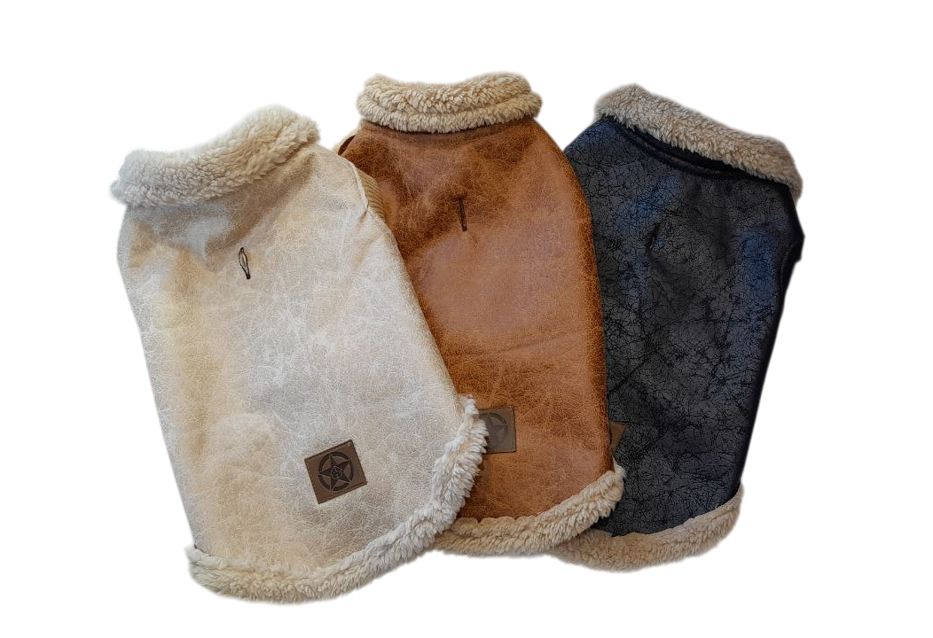 Campera Gamulán – Mascotte