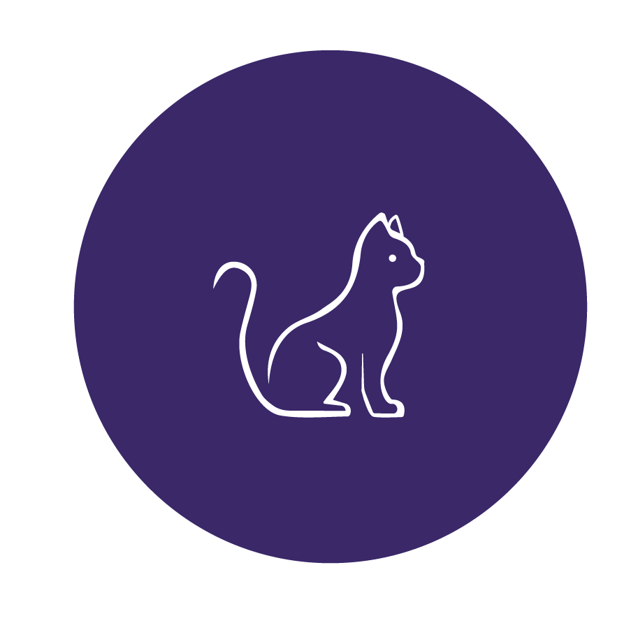 Gato