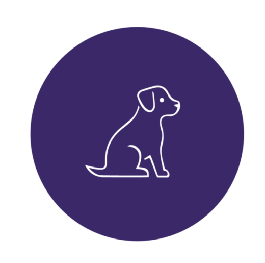 CATEGORIAS ANIMALES-04