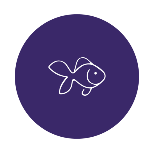 CATEGORIAS ANIMALES-05