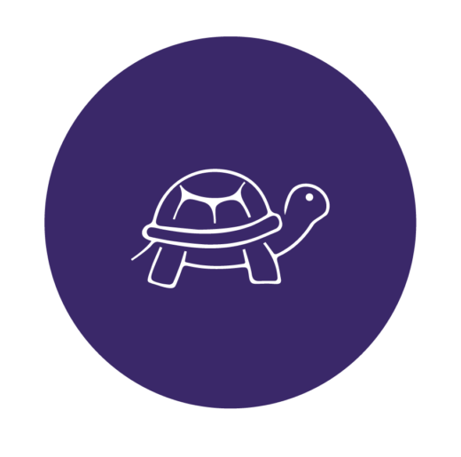 CATEGORIAS ANIMALES-06
