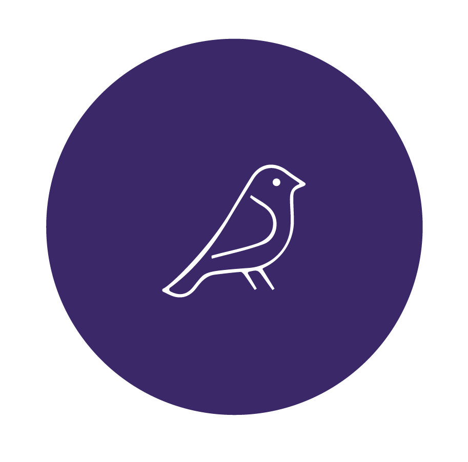 Aves