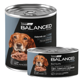Lata Balanced Souffle de Carne – Senior