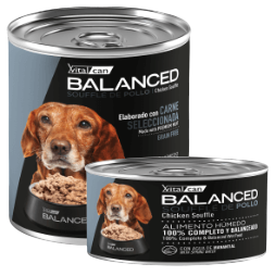 Lata Balanced Souffle de Pollo – Senior