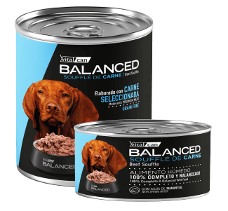 Lata Balanced Souffle de Carne – Adulto
