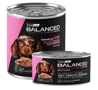 Lata Balanced Souffle de Carne - Cachorro