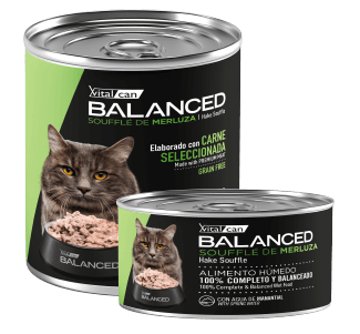 Lata Balanced Soufflé de Merluza – Gato Castrado