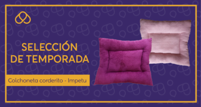temporada invierno_Mesa de trabajo 1-03
