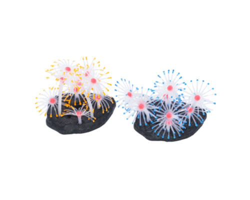 Coral Pluma de Silicona