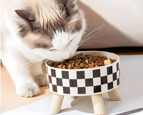 Comedero elevado de 4 patas de madera para gatos con cuenco de acero inoxidable