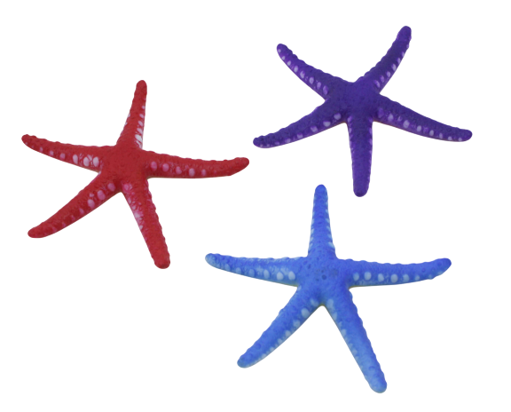 Estrella de Silicona