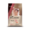 Balanced Gato Natural Recipe Salmón