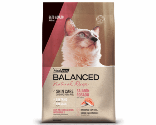 Balanced Gato Natural Recipe Salmón