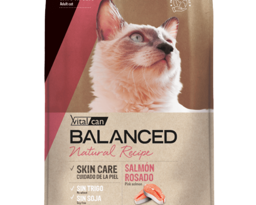 Balanced Gato Natural Recipe Salmón