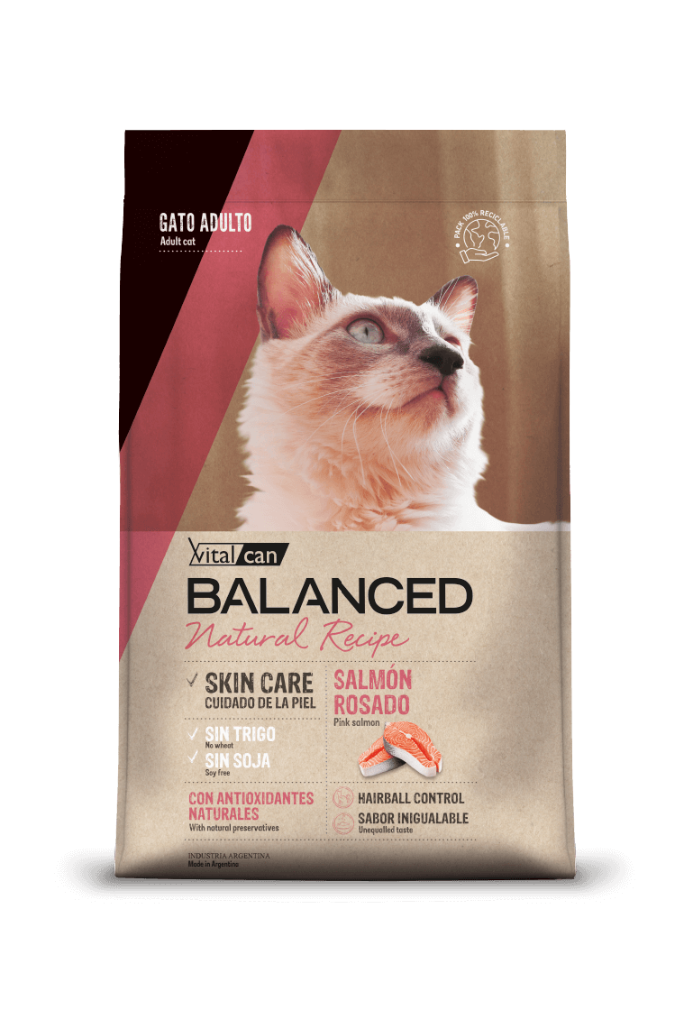 Balanced Gato Natural Recipe Salmón