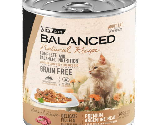 Lata Balanced Natural Recipe – Gato Adulto