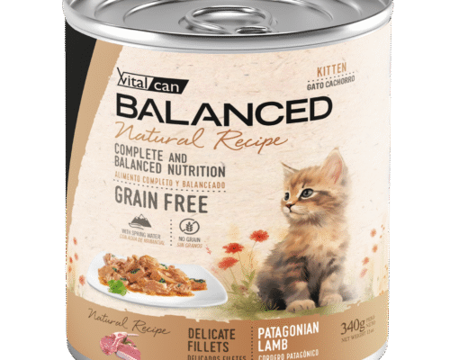 Lata Balanced Natural Recipe – Gato Cachorro