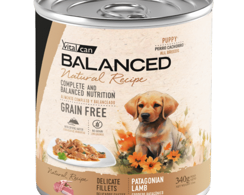 Lata Balanced Natural Recipe – Cachorro