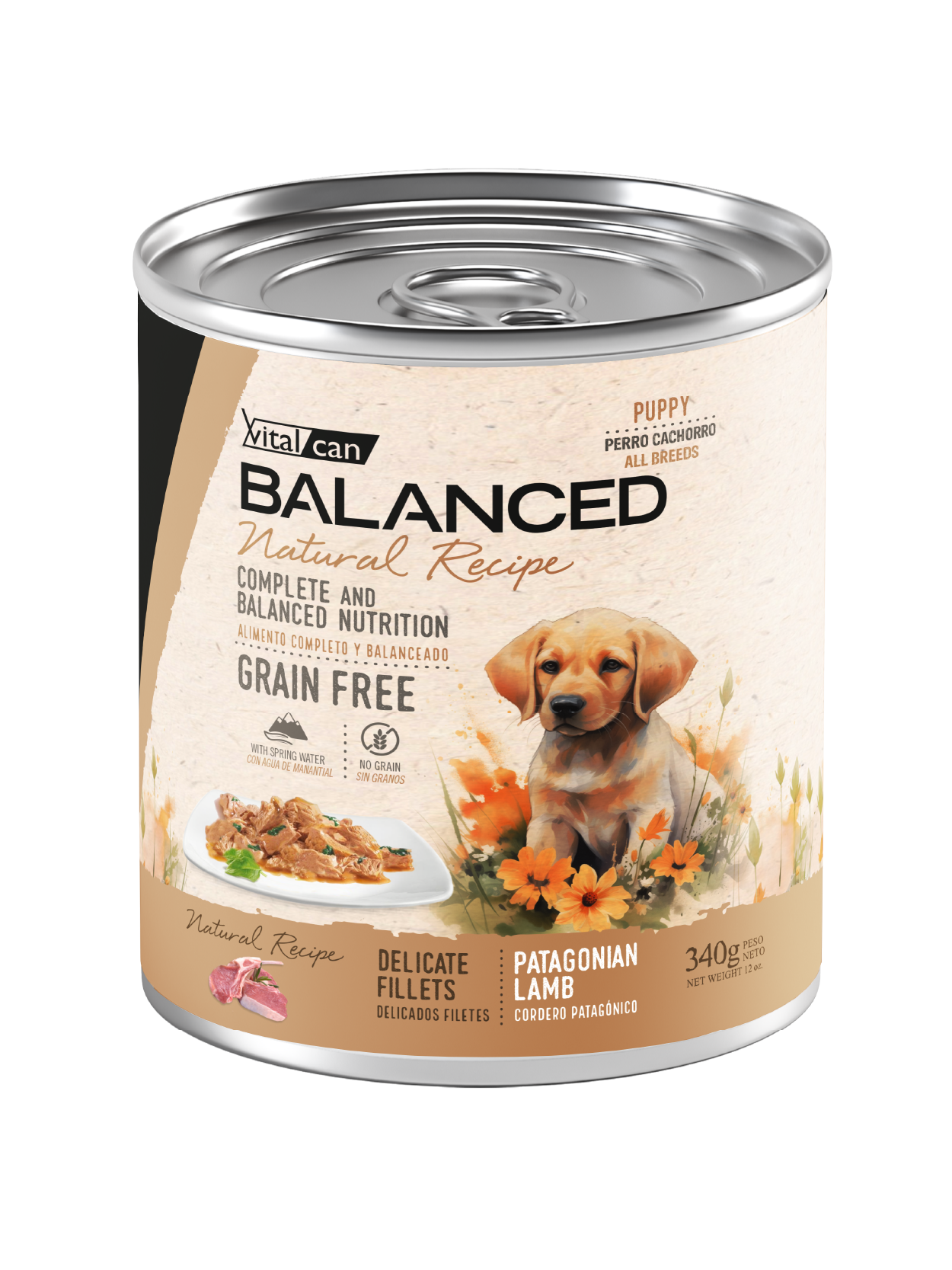 Lata Balanced Natural Recipe – Cachorro