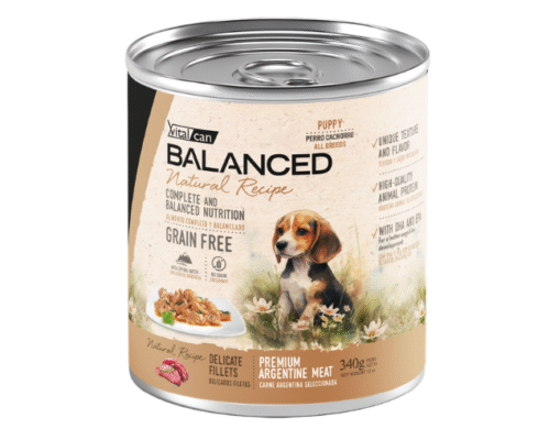 Lata Balanced Natural Recipe – Cachorro