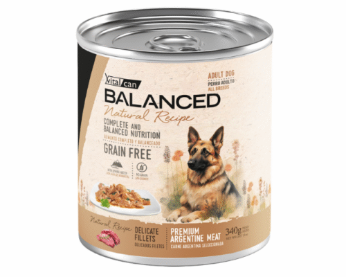 Lata Balanced Natural Recipe – Perro Adulto