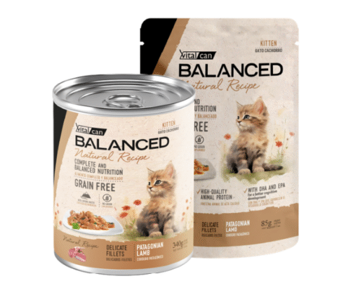 Lata Balanced Natural Recipe – Gato Cachorro